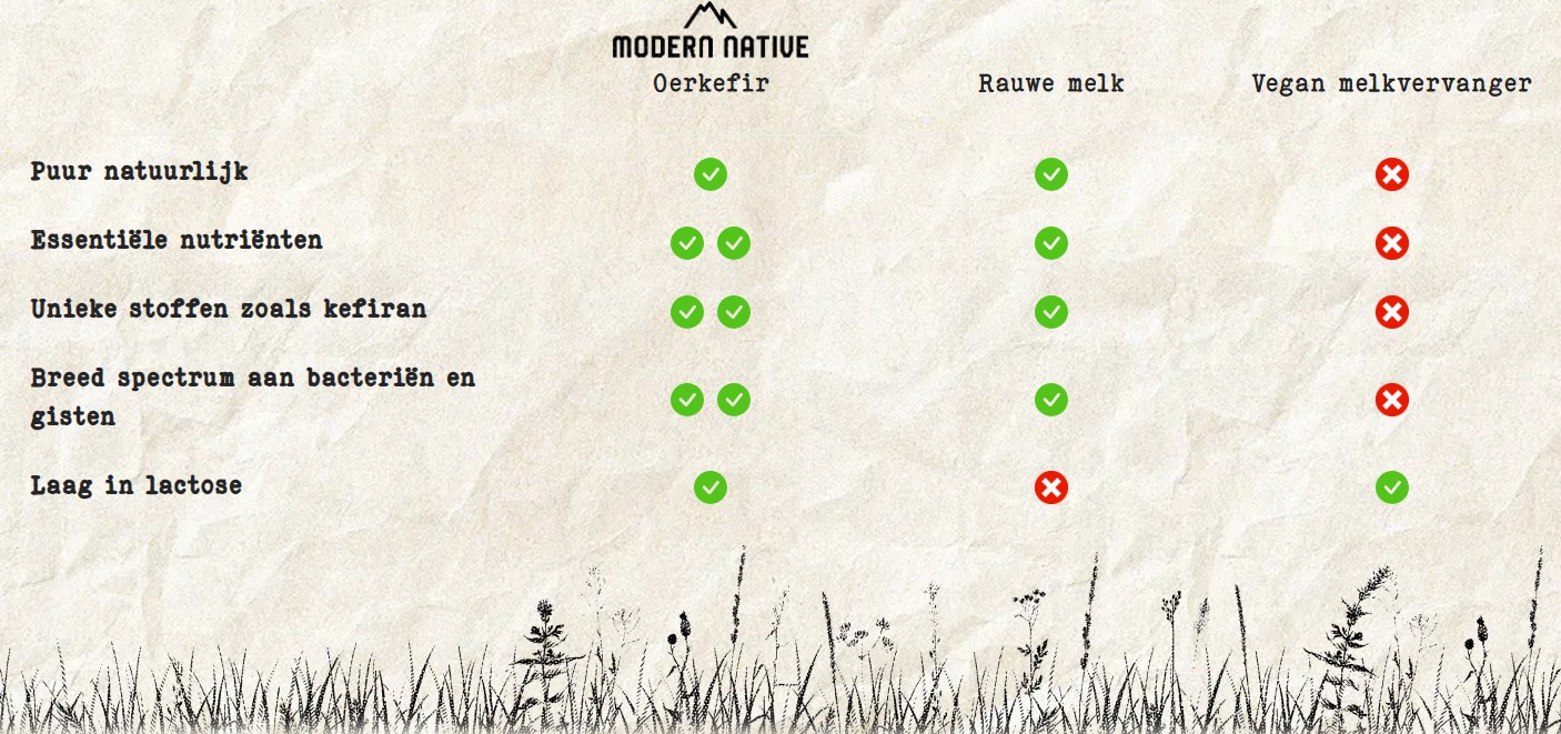 Oerkefír - Fermentovaný kefír v kapsliach - Modern Native